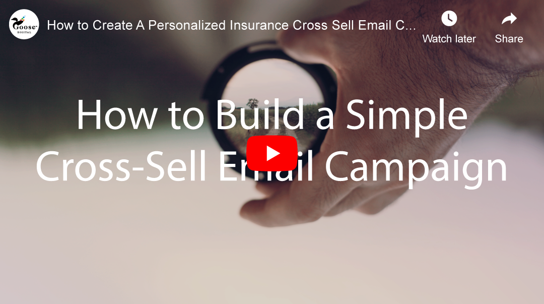 [VIDEO - 30 min] How to Build a Simple Cross Sell Email Campaign 